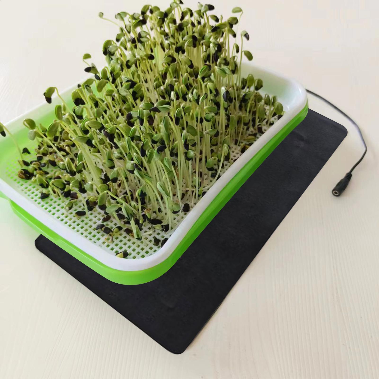 8.5W USB 묘목 열매트 3단계 온도 조절 식물 묘 - Seedling Heat Mat 리뷰 및 가격